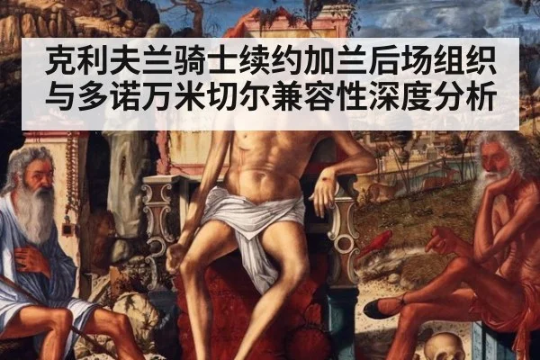 克利夫兰骑士续约加兰后场组织与多诺万米切尔兼容性深度分析